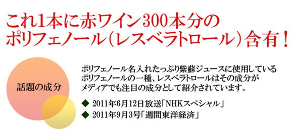 しその名入れジュース