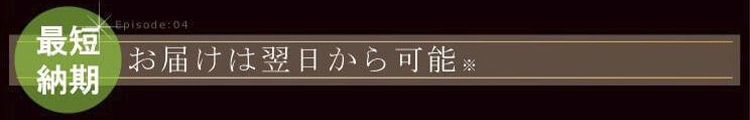最短納期 お届けは翌日から可能