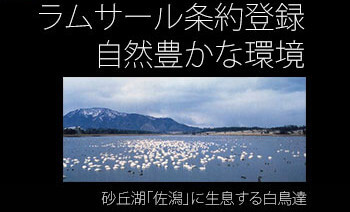 ラムサール条約登録 自然豊かな環境