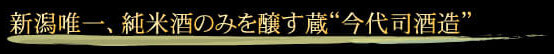 新潟唯一、純米酒のみを醸す蔵”今代司酒造”
