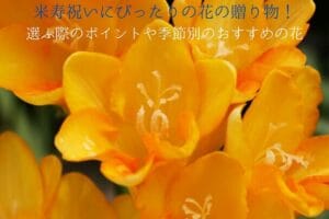 Points for choosing the perfect flowers for the Beijyu and recommended flowers by season