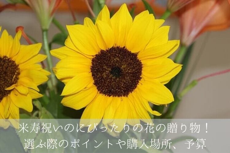 米寿祝いにぴったりの花の贈り物 選ぶ際のポイントや季節別のおすすめの花を解説 米寿祝い館