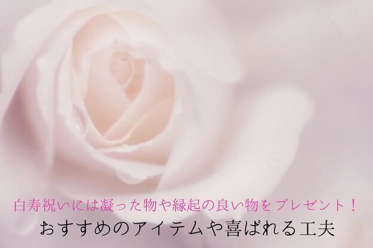 淡く白いバラの花