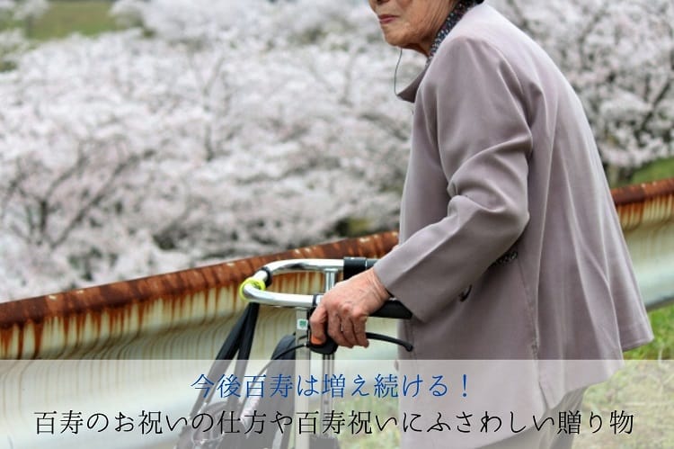 Photo of an old woman against the backdrop of cherry blossoms
