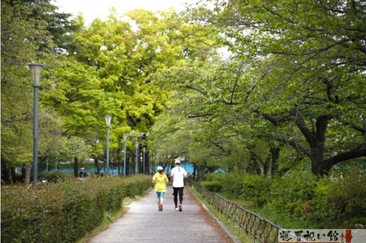 シニア夫婦が歩道をランニングしている様子