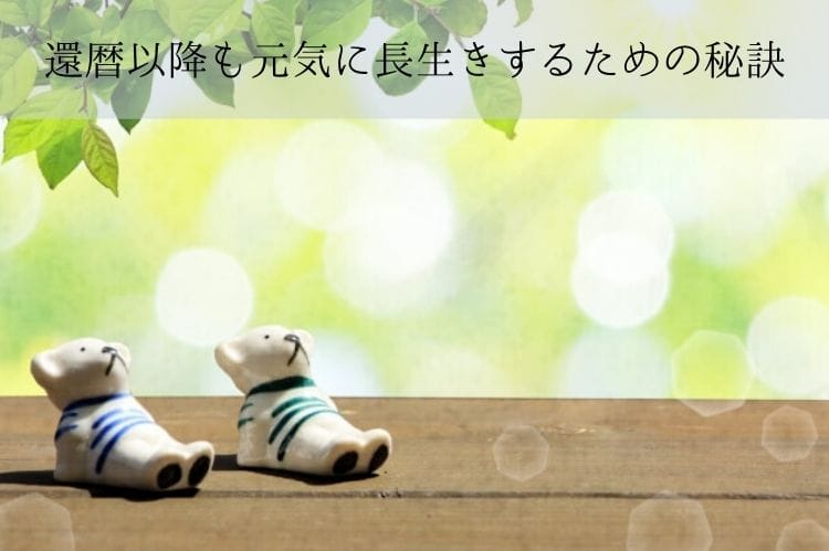 熊の置物が日光浴している様子