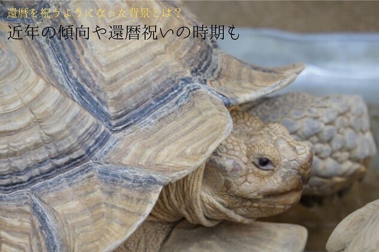 還暦を祝うようになった背景とは 近年の還暦祝いの傾向や還暦祝いの時期の決め方もご紹介 還暦祝い館