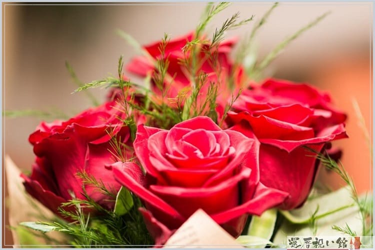 赤い薔薇の花束