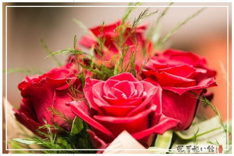 赤い薔薇の花束