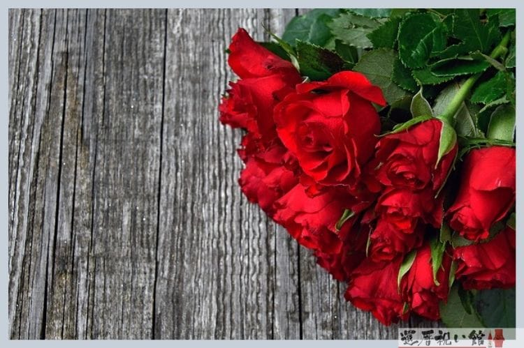 赤いバラの花束