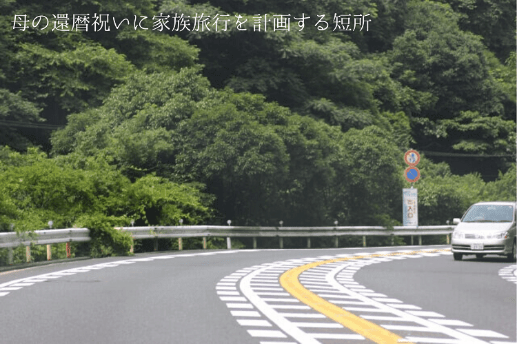 周りが森の道路に車が一台走っている様子