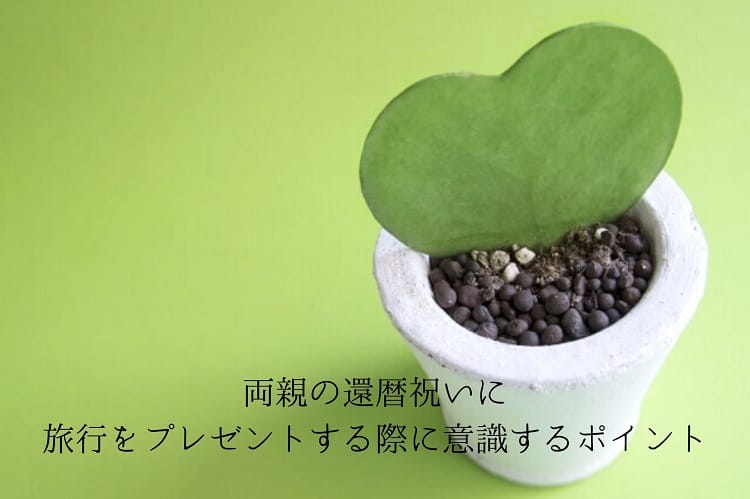 白い鉢植えに入った緑のサボテン