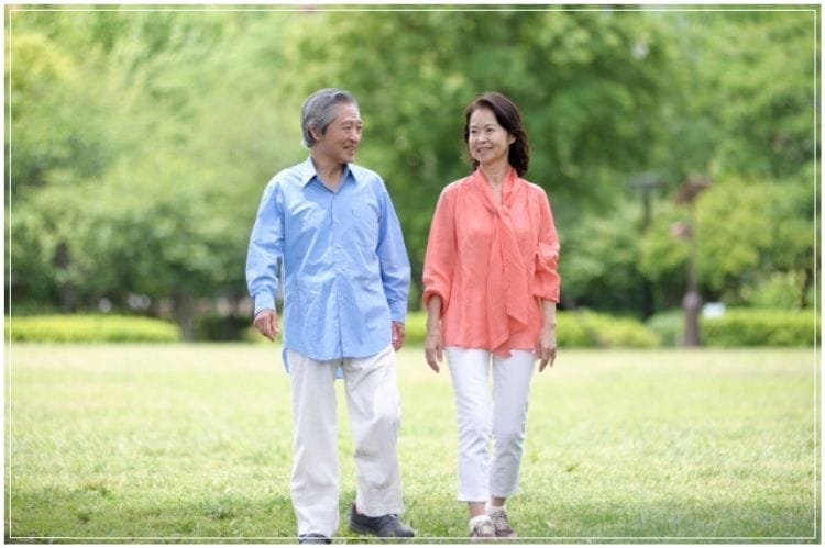 シニア夫婦が公園の芝生の中を歩いている様子
