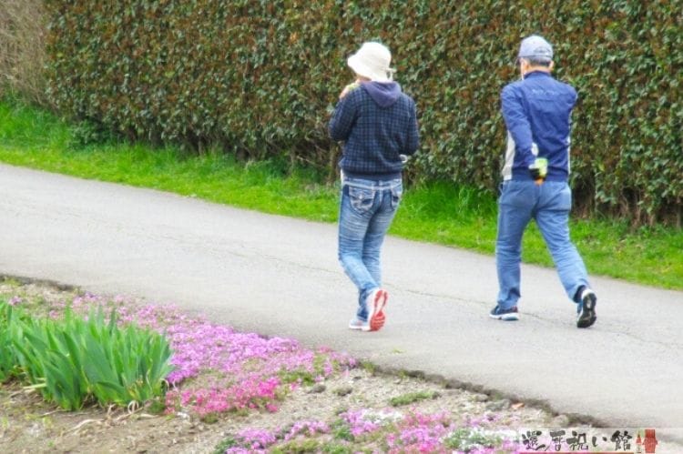シニア夫婦が歩道を歩いている様子