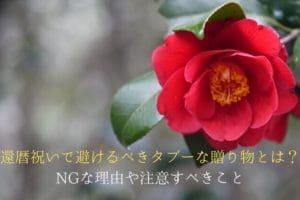 赤いツバキの花