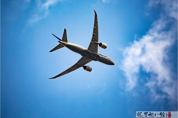 空を飛ぶ飛行機