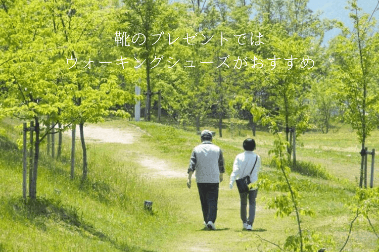 公園を散歩するシニア夫婦