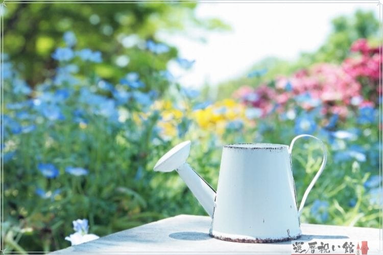 カラフルな花が咲く庭とじょうろ