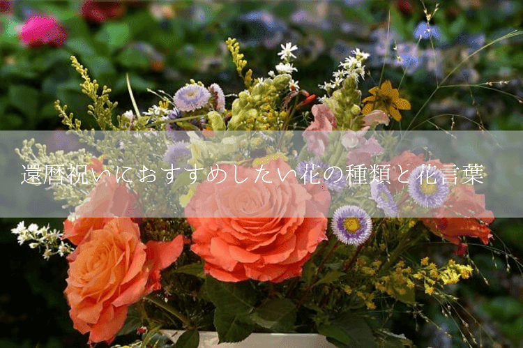 還暦祝いに最適な花ってあるの 花の相場や種類を解説 還暦祝い館