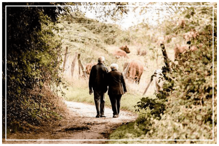 外人のシニア夫婦が林の中を散歩する様子