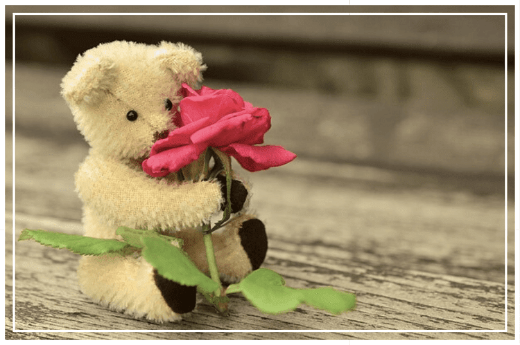 一輪の薔薇の花を抱きしめるクマのぬいぐるみ