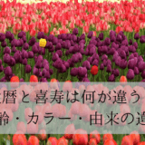 Field full of red and purple tulips