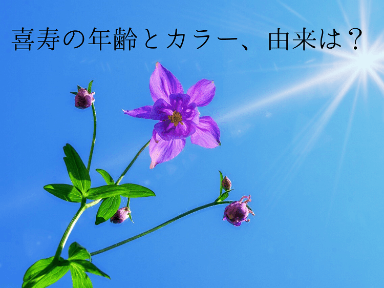 太陽の光をいっぱいに浴びている紫色の花