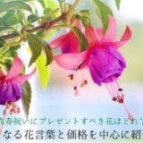 Flowers to present for a 77-year-old celebration