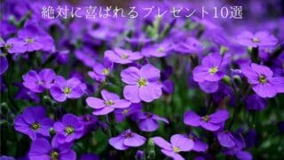 一面の紫の花