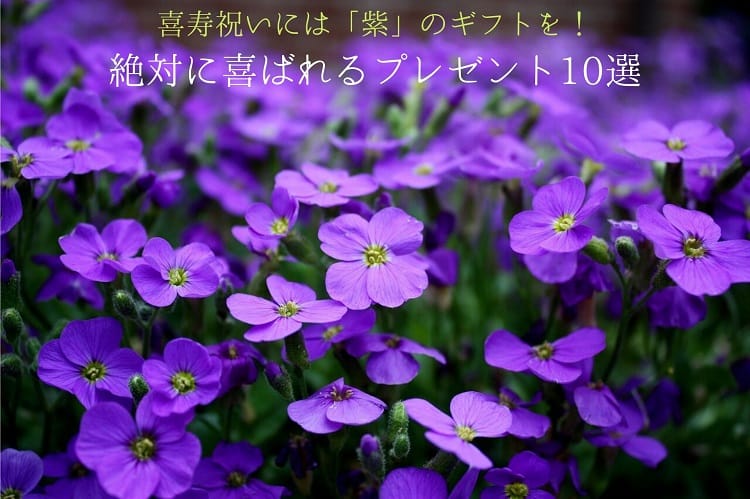 One side of purple flowers