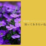 Colors and prices you need to know if you need chan-chan to celebrate 77 years old