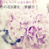 8 Selected Flowers for a 70-year-old Celebration