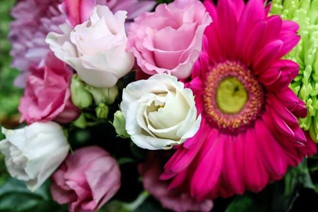 fransflower
