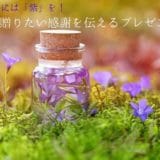 A purple gift that conveys the thanks you want to give to your parents for the celebration of ancient times