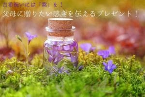 草原の中に置かれた透明の瓶とその周りに生えている紫の小さな花