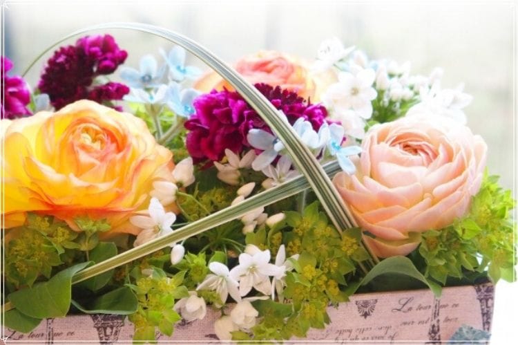 紫やオレンジ色の花が植えられている（ガーデニング）