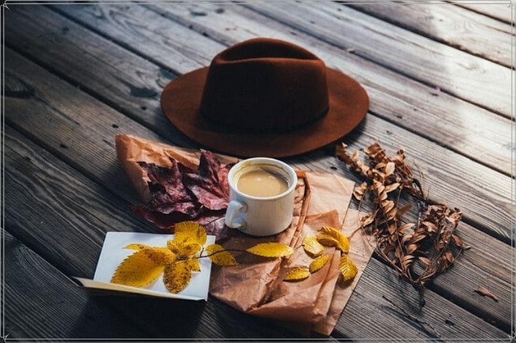枯れ葉とコーヒーと茶色い帽子