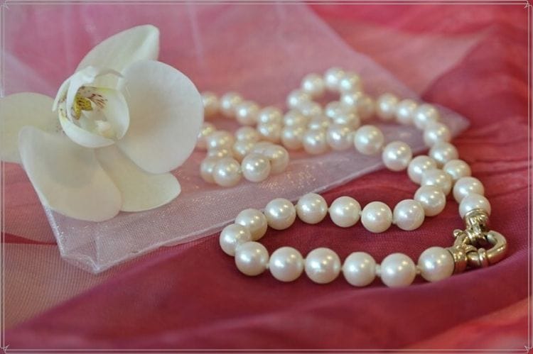 真珠のネックレスと白い花