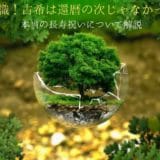 Commentary on the next longevity celebration after the 60th birthday