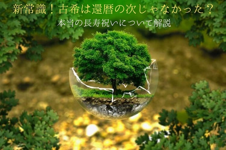 나무의 이미지
