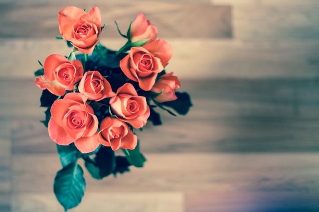 退職祝いで渡す花は何が良い 男女別の選ぶ際のポイントやおすすめの花 退職祝い館