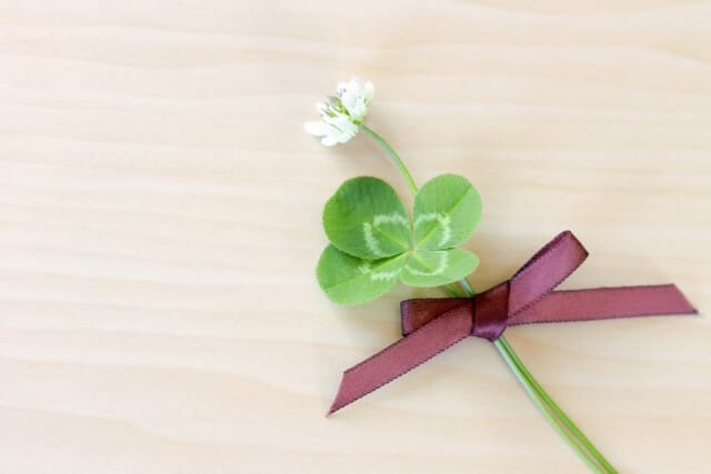 退職祝いにふさわしい花と花言葉は 花を贈る際に押さえておきたいポイントも 退職祝い館 退職祝いにふさわしい花と花言葉は 花を贈る際に押さえておきたいポイントも 退職祝い館