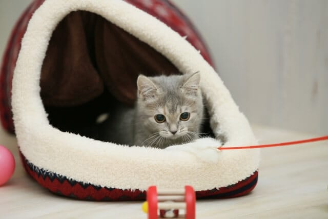 その人に合ったものを贈る