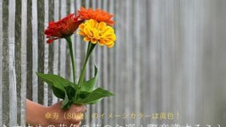 花を差し出す手