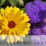 80-year-old celebration Chan solves this color and anxious questions