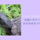 90-year-old-celebration-theme-colors-and-delighted-recommended-gifts