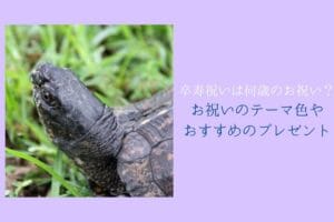 90-year-old-celebration-theme-colors-and-delighted-recommended-gifts