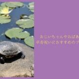 Recommended gift for grandpa and grandma’s 90-year-old celebration