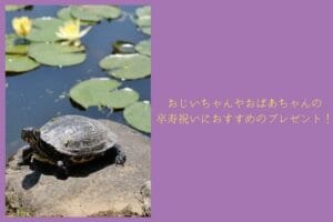 Recommended gift for grandpa and grandma’s 90-year-old celebration