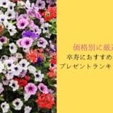 15 popular gift rankings recommended for the 90-year-old celebration carefully selected by price